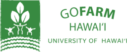 University of Hawaii Foundation